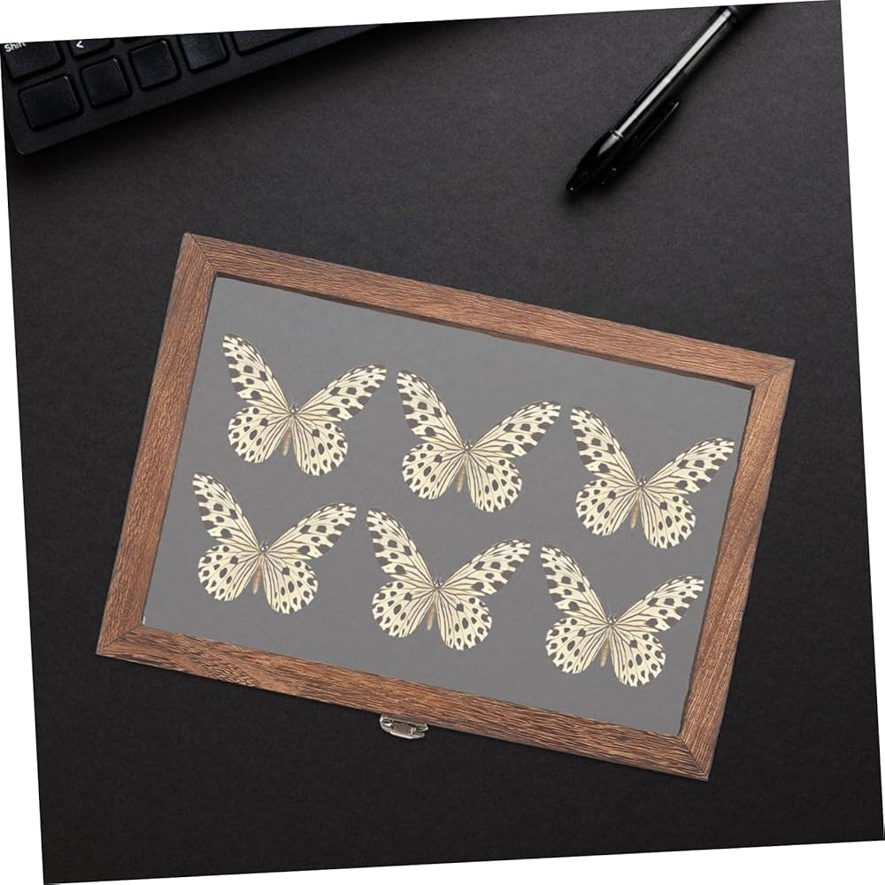 蝶標本 木製ケース付き Amazon｜TOYMYTOY 標本ケース 木製 ディスプレイボックス 透明窓